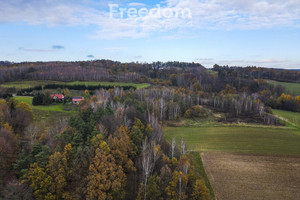 Działka na sprzedaż 9500m2 rzeszowski Tyczyn Kielnarowa - zdjęcie 3