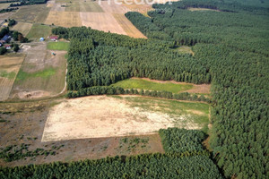 Działka na sprzedaż czarnkowsko-trzcianecki Trzcianka Łomnica - zdjęcie 2