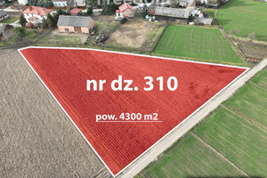 Działka na sprzedaż 4300m2 piaseczyński Konstancin-Jeziorna Łęg - zdjęcie 2