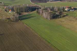 Działka na sprzedaż węgorzewski Pozezdrze Harsz - zdjęcie 3