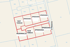 Działka na sprzedaż 1222m2 nowodworski Nowy Dwór Gdański Nasienna - zdjęcie 1