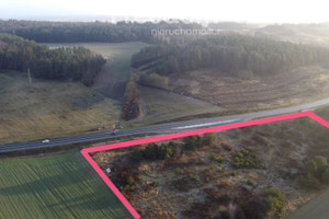 Działka na sprzedaż 20600m2 kamieński Wolin - zdjęcie 3