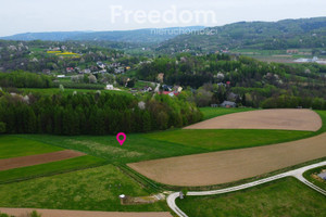 Działka na sprzedaż 2829m2 brzozowski Jasienica Rosielna - zdjęcie 2