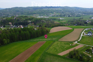 Działka na sprzedaż 2829m2 brzozowski Jasienica Rosielna - zdjęcie 3