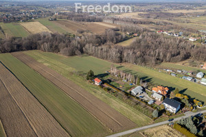 Działka na sprzedaż 6069m2 brzeski Dębno Sufczyn - zdjęcie 3