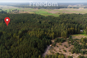 Działka na sprzedaż 12401m2 hajnowski Narew Koźliki - zdjęcie 2