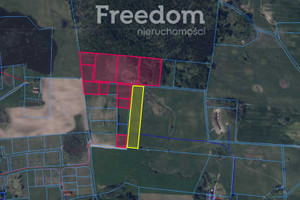 Działka na sprzedaż 38444m2 lidzbarski Lidzbark Warmiński Blanki - zdjęcie 2