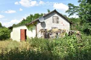 Działka na sprzedaż 4500m2 łaski Sędziejowice Osiny - zdjęcie 2