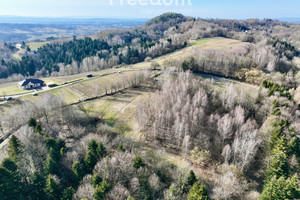 Działka na sprzedaż 4400m2 krośnieński Korczyna Miodowa - zdjęcie 3