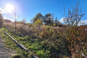 Działka na sprzedaż 1587m2 krakowski Skała Zamłynie - zdjęcie 3