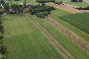 Działka na sprzedaż 81000m2 jędrzejowski Sędziszów Mstyczów - zdjęcie 2