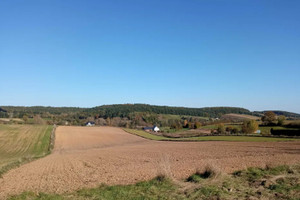 Działka na sprzedaż 19800m2 krakowski Skała Minoga - zdjęcie 1