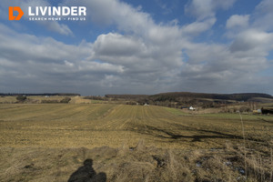 Działka na sprzedaż 19800m2 krakowski Skała Minoga - zdjęcie 1