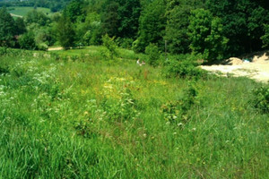 Działka na sprzedaż 1300m2 krakowski Michałowice Górna Wieś - zdjęcie 1