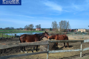 Komercyjne na sprzedaż 3800m2 wałecki Tuczno Rusinowo - zdjęcie 1