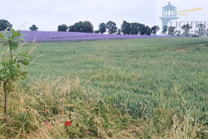 Działka na sprzedaż 10014m2 gdański Trąbki Wielkie - zdjęcie 3