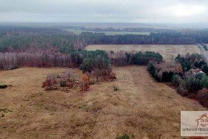 Działka na sprzedaż 245314m2 drawski Kalisz Pomorski Pepłówek - zdjęcie 1