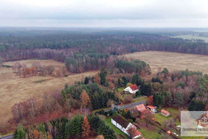 Działka na sprzedaż 245314m2 drawski Kalisz Pomorski Pepłówek - zdjęcie 2