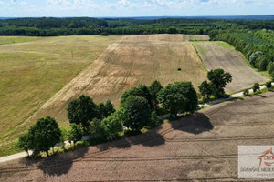 Działka na sprzedaż 61000m2 drawski Drawsko Pomorskie Linowno - zdjęcie 2