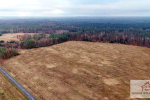 Działka na sprzedaż 245314m2 drawski Kalisz Pomorski Pepłówek - zdjęcie 3