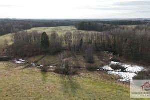 Działka na sprzedaż 553700m2 drawski Czaplinek Prosino - zdjęcie 2