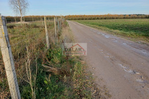 Działka na sprzedaż 3100m2 grójecki Chynów Watraszew - zdjęcie 3