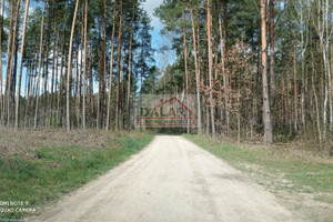 Działka na sprzedaż 3500m2 grójecki Chynów Nowe Grobice - zdjęcie 3