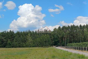 Działka na sprzedaż 3000m2 grójecki Warka Borowe - zdjęcie 2