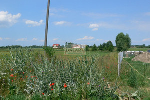 Działka na sprzedaż 3001m2 grójecki Chynów Wola Kukalska - zdjęcie 1