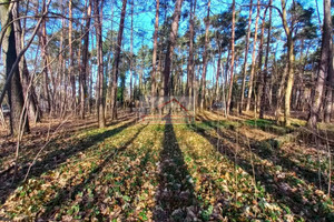 Działka na sprzedaż 2019m2 piaseczyński Piaseczno Zalesie Górne - zdjęcie 1