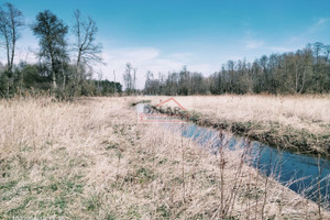 Działka na sprzedaż 12600m2 grójecki Grójec Żyrówek - zdjęcie 2