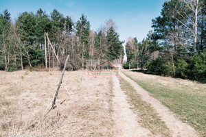 Działka na sprzedaż 10400m2 grójecki Grójec Żyrówek - zdjęcie 3