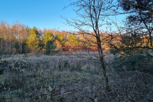 Działka na sprzedaż 1227m2 puławski Puławy - zdjęcie 2