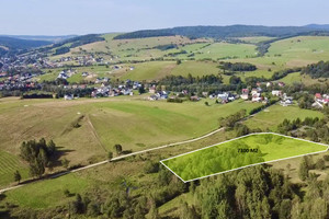 Działka na sprzedaż 7300m2 nowosądecki Krynica-Zdrój Tylicz - zdjęcie 2