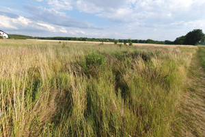 Działka na sprzedaż 1634m2 leszczyński Święciechowa Przybyszewo Porzeczkowa - zdjęcie 2