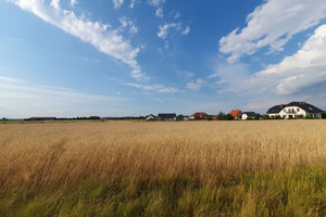 Działka na sprzedaż 1634m2 leszczyński Święciechowa Przybyszewo Porzeczkowa - zdjęcie 1