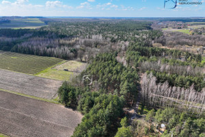 Działka na sprzedaż 3409m2 lubelski Borzechów Majdan Skrzyniecki Majdan Skrzyniecki - zdjęcie 2