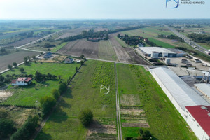 Działka na sprzedaż 1000m2 lubelski Niemce Lubelska - zdjęcie 2