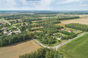 Działka na sprzedaż 2000m2 łęczyński Ludwin Dratów-Kolonia - zdjęcie 3