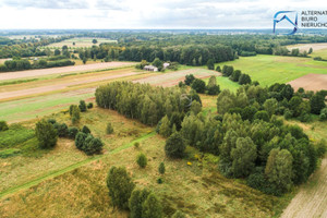 Działka na sprzedaż 3000m2 lubartowski Kamionka Grobelna - zdjęcie 2