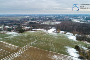 Działka na sprzedaż 14685m2 lubelski Konopnica Motycz - zdjęcie 3