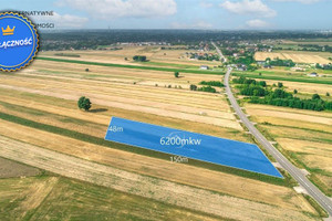 Działka na sprzedaż 6200m2 lubelski Głusk Żabia Wola - zdjęcie 1