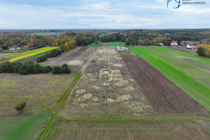 Działka na sprzedaż 3498m2 lubartowski Niedźwiada Tarło - zdjęcie 3