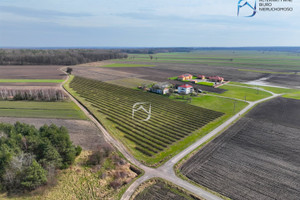 Działka na sprzedaż 3300m2 lubelski Garbów Janów - zdjęcie 3