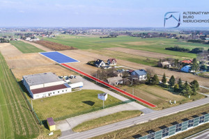 Działka na sprzedaż 5950m2 świdnicki Mełgiew Krępiec Piasecka - zdjęcie 3