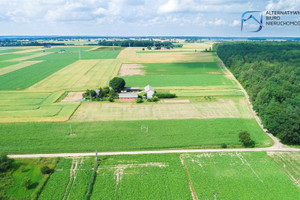 Działka na sprzedaż 1196m2 lubelski Strzyżewice Żabia Wola - zdjęcie 2