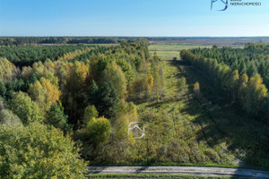 Działka na sprzedaż 4050m2 lubartowski Ostrów Lubelski Bójki - zdjęcie 2