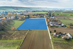 Działka na sprzedaż 23700m2 kraśnicki Urzędów Popkowice - zdjęcie 3