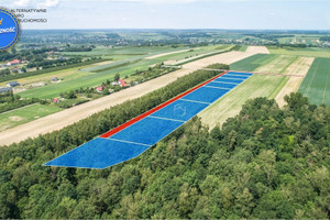 Działka na sprzedaż 3000m2 kraśnicki Urzędów - zdjęcie 1