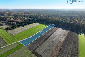 Działka na sprzedaż 5043m2 puławski Markuszów Bobowiska - zdjęcie 3